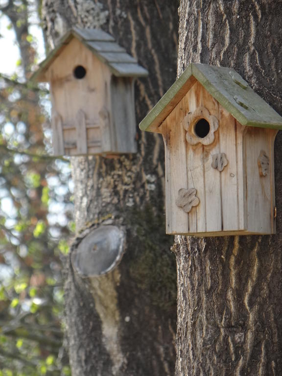 Bed and Breakfast La Bastide de Barbizon Exterior foto